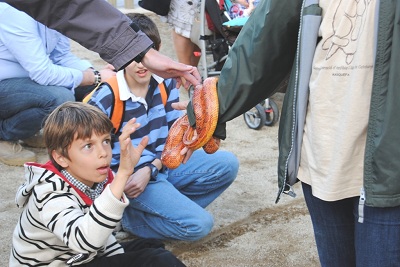 Una gran jornada al CRARC - Club Valladura